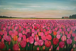 Distesa di tulipani