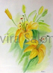 Lilium gialli cm23x30