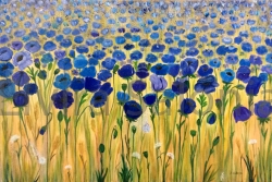 Mille papaveri blu