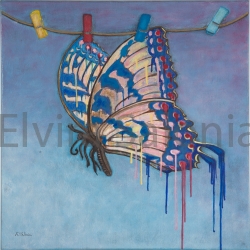 Non posso più volare cm 48x33  T50 - Elvira Salonia