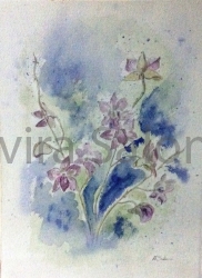 Orchidee cm 29x38