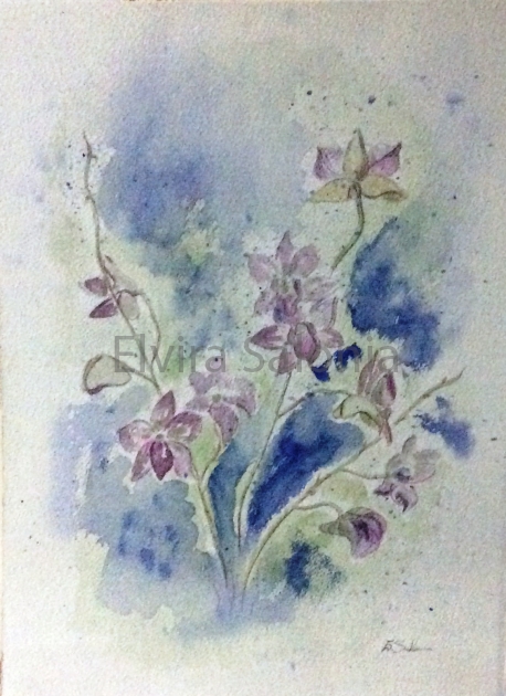 Orchidee cm 29x38