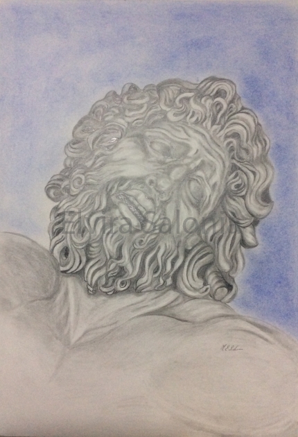Particolare dal Gruppo del Laocoonte - Elvira Salonia