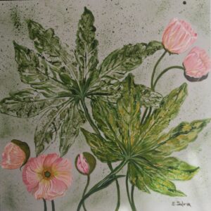 "Composizione di papaveri rosa"
