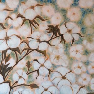 "Cotton flowers"