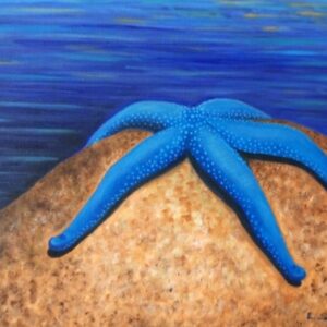 "Stella marina blu"