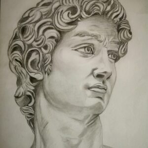 da "Il David di Michelangelo"