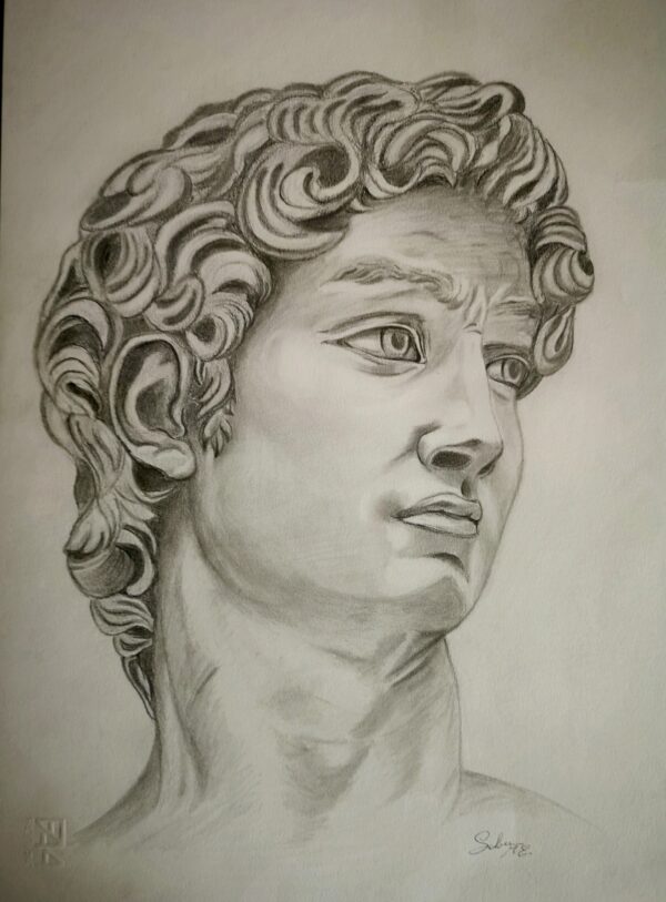 da "Il David di Michelangelo"